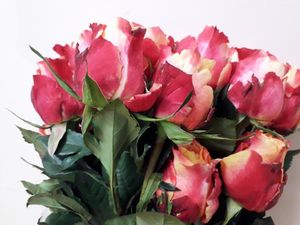 ROSE 3D 40